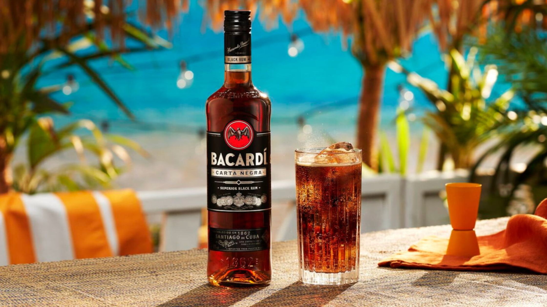 Bacardi Dark Rum